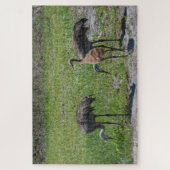 Florida Sandhill-Krane in Grünfeldfotografie Puzzle (Vertikal)