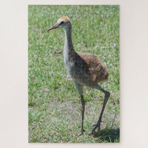 Florida Sandhill-Krane in Grünfeldfotografie Puzzle