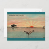 Florida Sandhill Sunrise Postkarte (Vorne/Hinten)