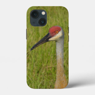 Florida Sandhilll Crane Bird Wildlife Fotografy Case-Mate iPhone Hülle