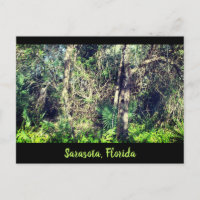 Florida Sarasota foilage tropische Bäume Foto