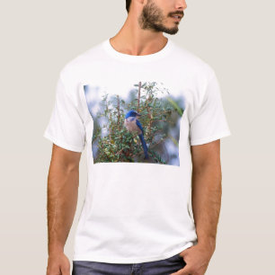Florida scheuert Jay T-Shirt