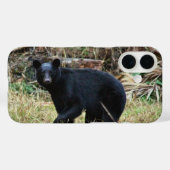 Florida-Schwarzbär Case-Mate iPhone Hülle (Rückseite (Horizontal))