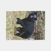 Florida-Schwarzbär Fleecedecke (Vorderseite (Horizontal))