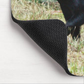 Florida-Schwarzbär Mousepad (Ecke)