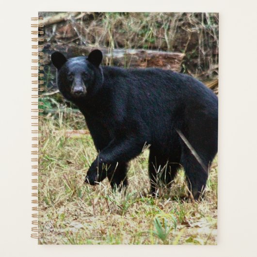 Florida-Schwarzbär Planer (Vorderseite)