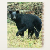 Florida-Schwarzbär Planer (Rückseite)