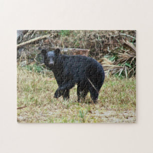 Florida-Schwarzbär Puzzle