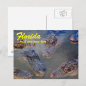 Florida Schwimmbad Postkarte (Vorne/Hinten)