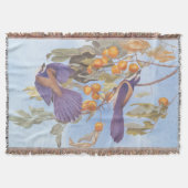 Florida Scrub Jay Audubon Bird Pair auf Orange Tre Decke (Vorderseite)