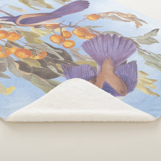 Florida Scrub Jay Audubon Bird Pair auf Orange Tre Sherpadecke (3/4)