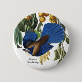 Florida Scrub-Jay, John James Audubon, Selten Bird Button (Vorderseite)