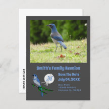 Florida Scrub Jay Wiedersehen Monogram Foto