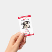 Florida SDiT (Service Dog In Training) Info-Abzeic Ausweis (Handheld)