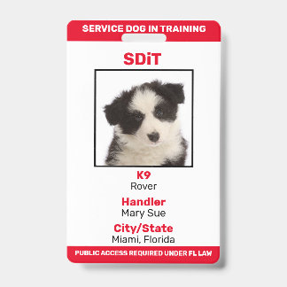 Florida SDiT (Service Dog In Training) Info-Abzeic Ausweis