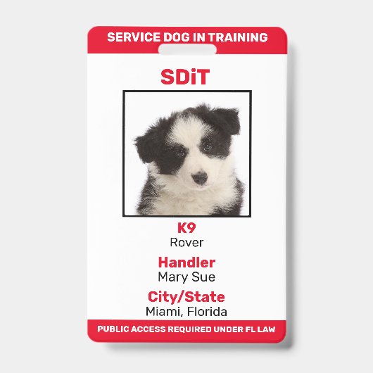 Florida SDiT (Service Dog In Training) Info-Abzeic Ausweis (Vorderseite)
