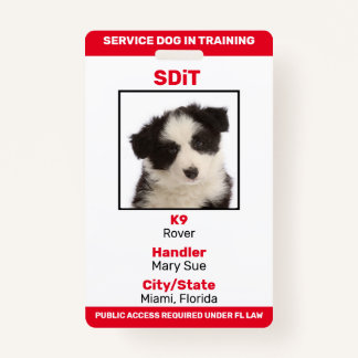 Florida SDiT (Service Dog In Training) Info-Abzeic Ausweis