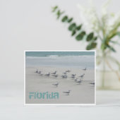 Florida Sea Birds Postkarte (Stehend Vorderseite)