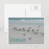 Florida Sea Birds Postkarte (Vorne/Hinten)