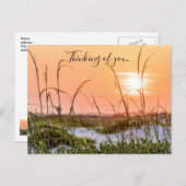 Florida Sea Oats Sonnenstrahlen denken Sie nach de Postkarte (Vorne/Hinten)