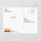 Florida Sea Oats Sonnenstrahlen denken Sie nach de Postkarte (Rückseite)