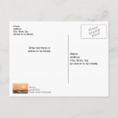 Florida Sea Oats Sunrise Danke, Postcard Postkarte (Rückseite)