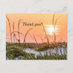 Florida Sea Oats Sunrise Danke, Postcard Postkarte