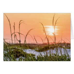 Florida Sea Oats Sunrise Grußkarte
