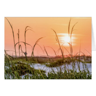 Florida Sea Oats Sunrise Grußkarte