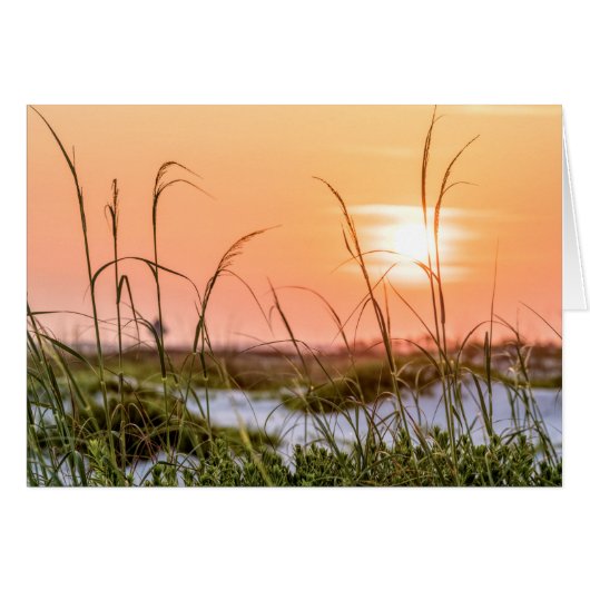 Florida Sea Oats Sunrise Grußkarte (Vorderseite (Horizontal))