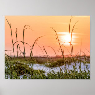 Florida Sea Oats Sunrise Poster