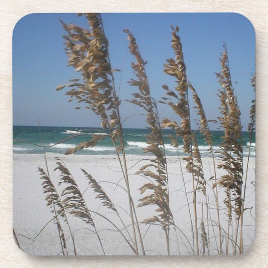 Florida Sea Olies Untersetzer (Vorderseite)