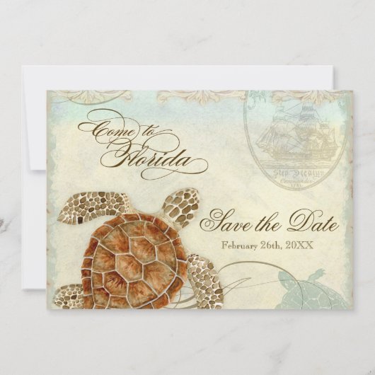 Florida Sea Turtle Moderner Küstenstrand Save The Date (Rückseite)