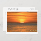 Florida Seagull Sunset Postkarte (Vorne/Hinten)