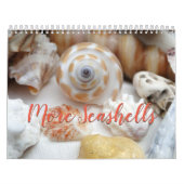 Florida Seashell Fotokalender Band 2 Kalender (Titelbild)