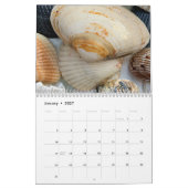 Florida Seashell Fotokalender Band 2 Kalender (Jan 2027)