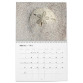 Florida Seashell Fotokalender Band 2 Kalender (Feb 2027)