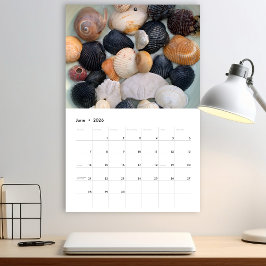 Florida Seashell Fotokalender Band 2 Kalender