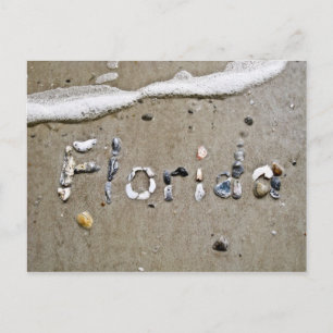 Florida Seashell Postcard Postkarte