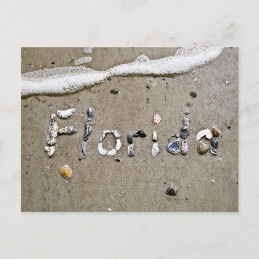 Florida Seashell Postcard Postkarte (Vorderseite)