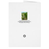 Florida Semaphore Cactus Neapel Botanischer Garten (Hinten)