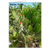 Florida Semaphore Cactus Neapel Botanischer Garten (Vorne)