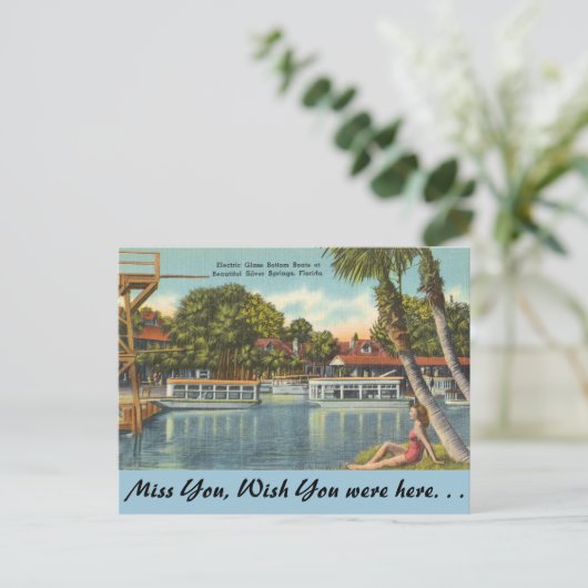 Florida, Silberringe Postkarte (Stehend Vorderseite)