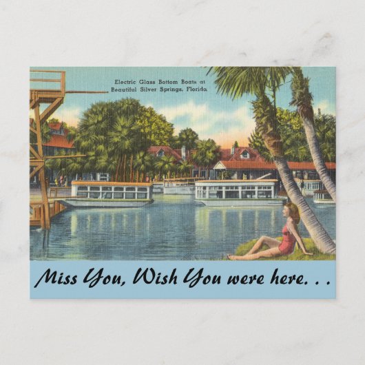 Florida, Silberringe Postkarte (Vorderseite)