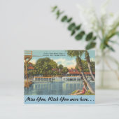 Florida, Silver Springs Postkarte (Stehend Vorderseite)