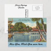 Florida, Silver Springs Postkarte (Vorne/Hinten)