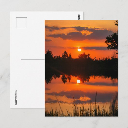 Florida Sky #5 Postkarte (Vorne/Hinten)