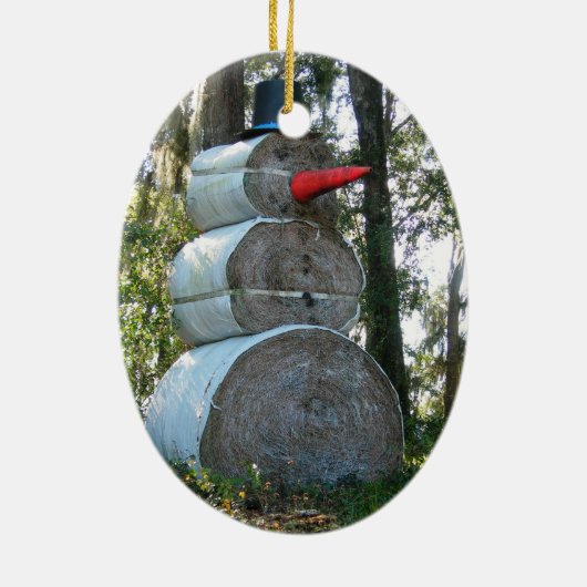 Florida Snowman Ornament (Hinten)