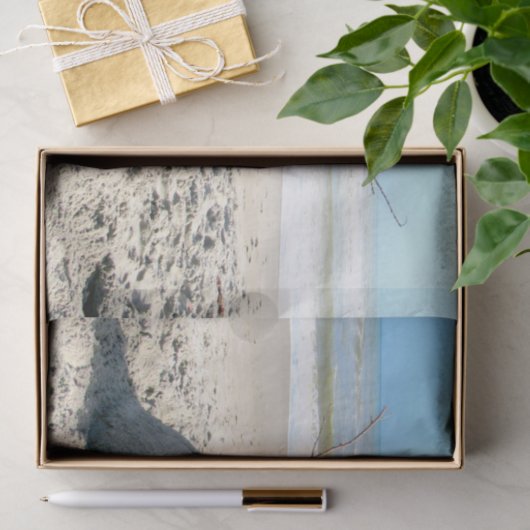 Florida Snowman - Skulptur - Gewebepapier Seidenpapier (Geschenk)