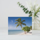 Florida - Sombrero Beach Postkarte (Stehend Vorderseite)